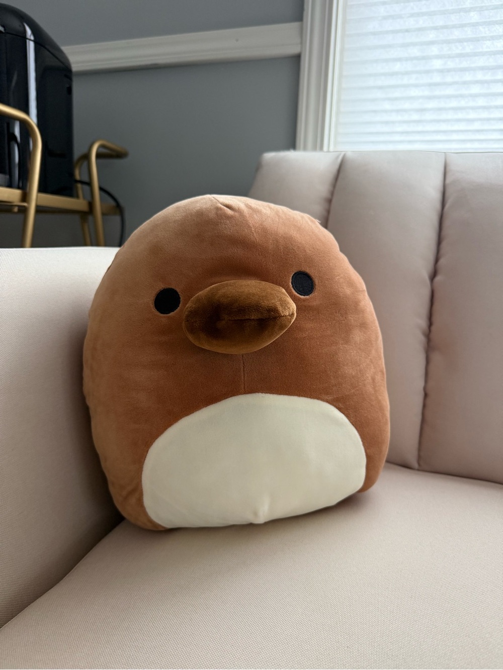 Santino Platypus Squishmallow - 12 inch NWT